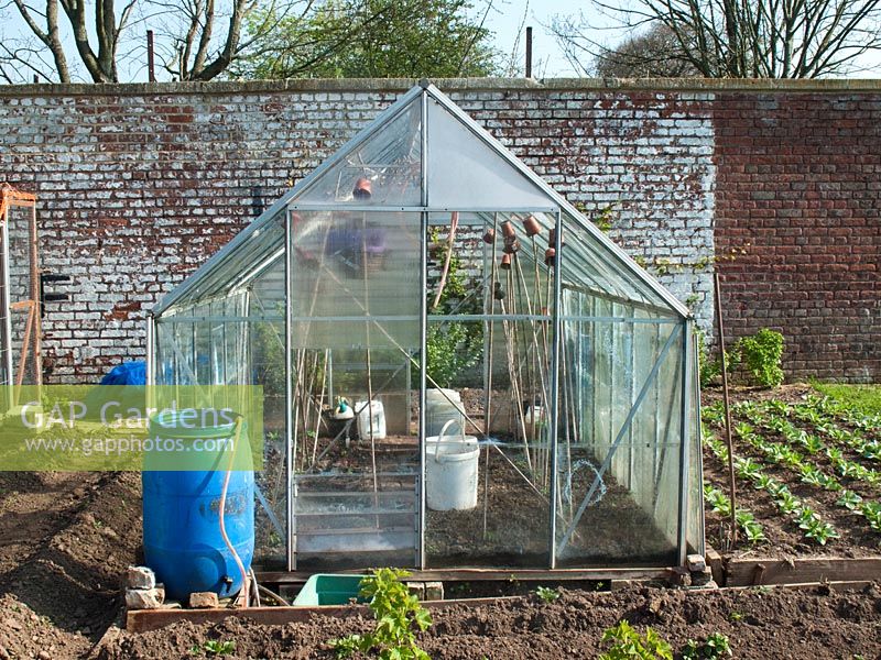 Greenhouse on allotment in early spring