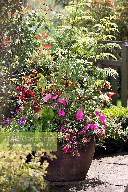 Mixed container with Impatiens 'New Guinea' - Bizzie Lizzies and colourful bedding plants. Millennium Garden, Lichfield NGS