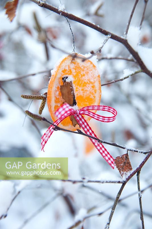 Orange slice decorated with ribbon and cinnamon - outdoor christmas decoration