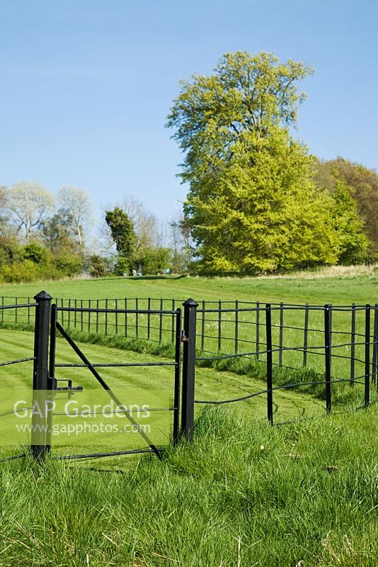 Metal field gate and black iron estate fencing bordering a paddock in Summer