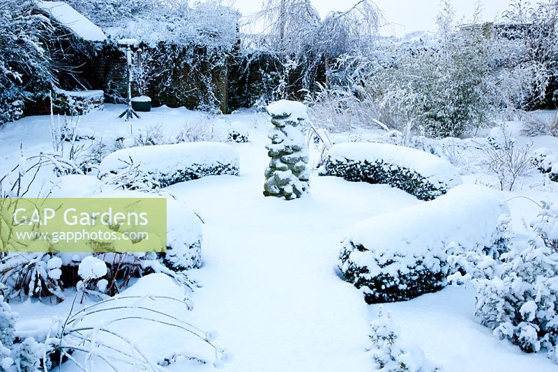 Snowy garden with Box hedges and flint fountain. Calamagrostis brachytricha, Phyllostachys nigra - Black Bamboo, well, bird table and brick shed in background