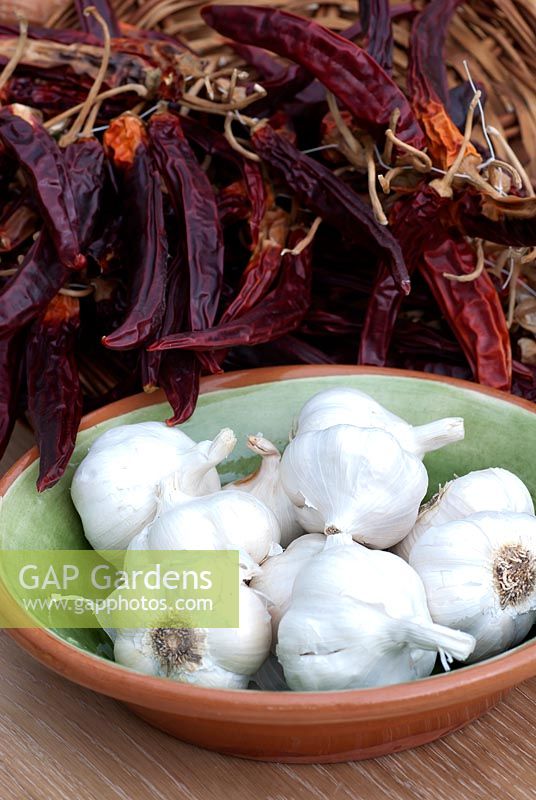Bowl of Garlic bulbs with dried Chilli Peppers