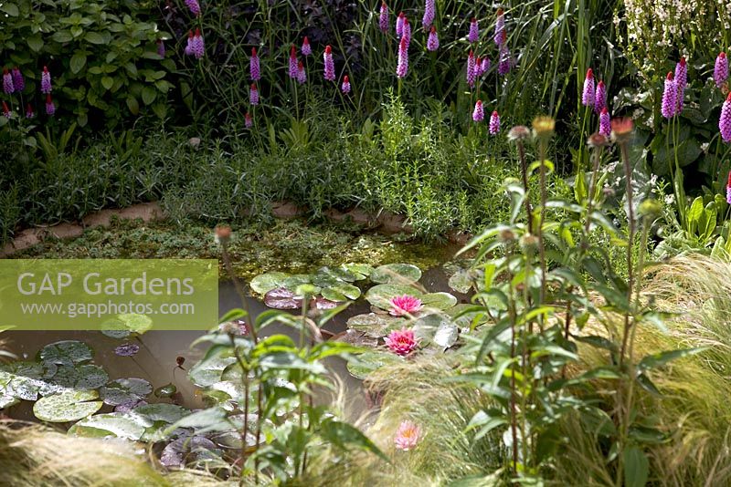 Natural pond - It's Only Natural, RHS Hampton Court 2010