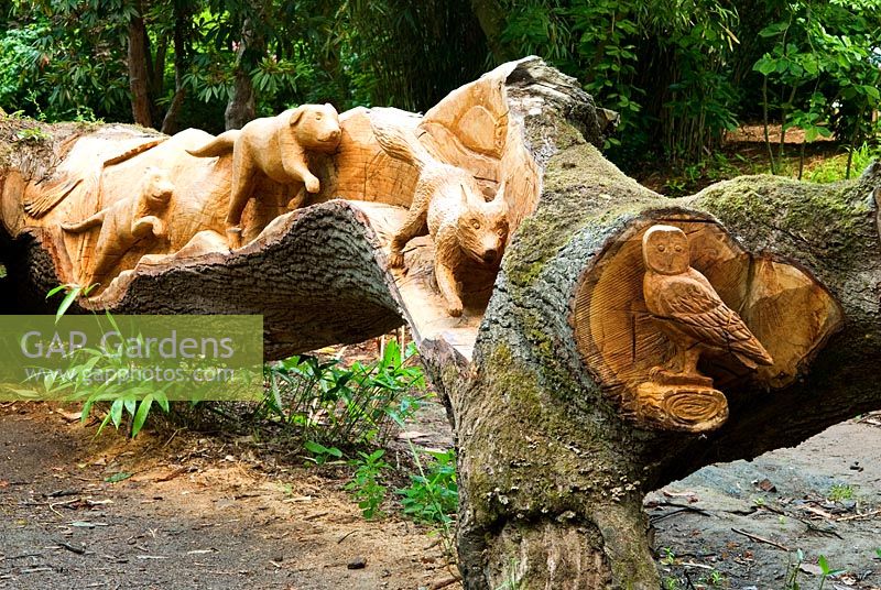 Felled oak carved with seats and scenes of birds, fish and animals by chainsaw sculptor Matthew Crabb. Abbotsbury Subtropical Gardens, Abbotsbury, Dorset, UK