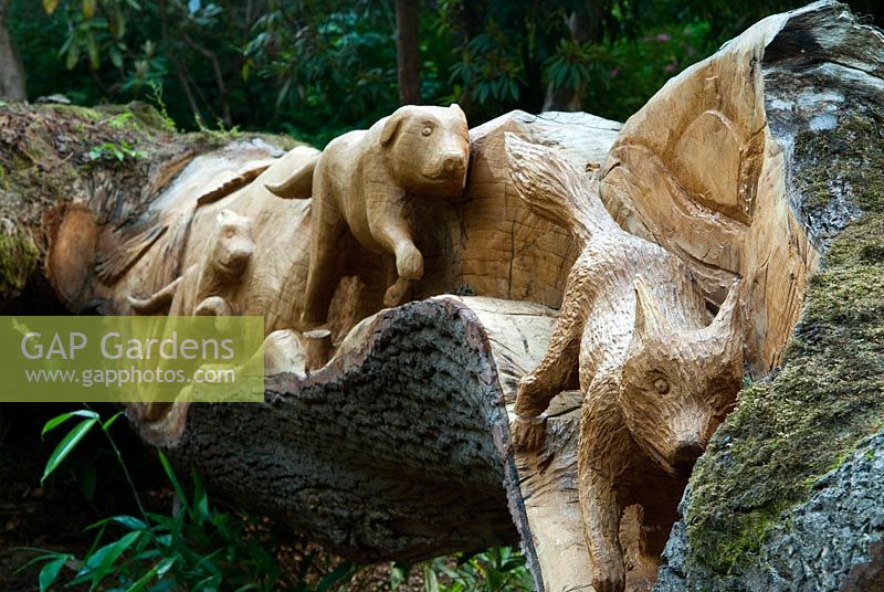 Felled oak carved with seats and scenes of birds, fish and animals by chainsaw sculptor Matthew Crabb - Abbotsbury Subtropical Gardens, Abbotsbury, Dorset