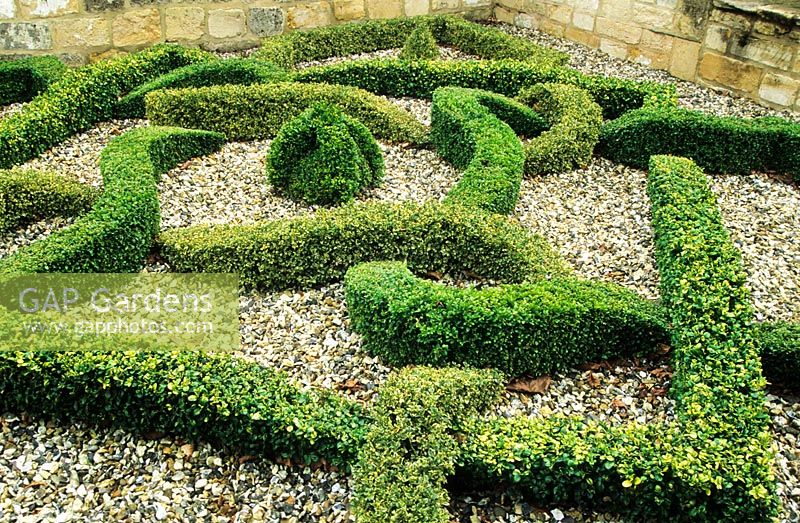 Knot garden at the Sheephouse garden, Painswick, Gloucestershire. Three varieties of Buxus used - 'Nana', 'Elegantissima' and 'Latifolia'