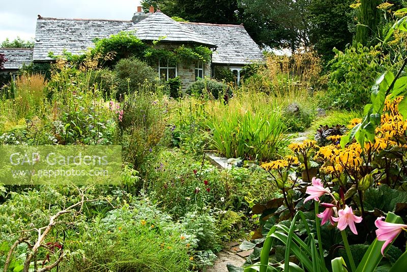 The eighteenth century lodge house surrounded by relaxed planting and self seeding perennials such as evening primrose, Stipa gigantea, Phlomis russeliana, Crinum x powellii and Ligularia dentata 'Desdemona' in the foreground - Pinsla Garden, Cardinham, Cornwall