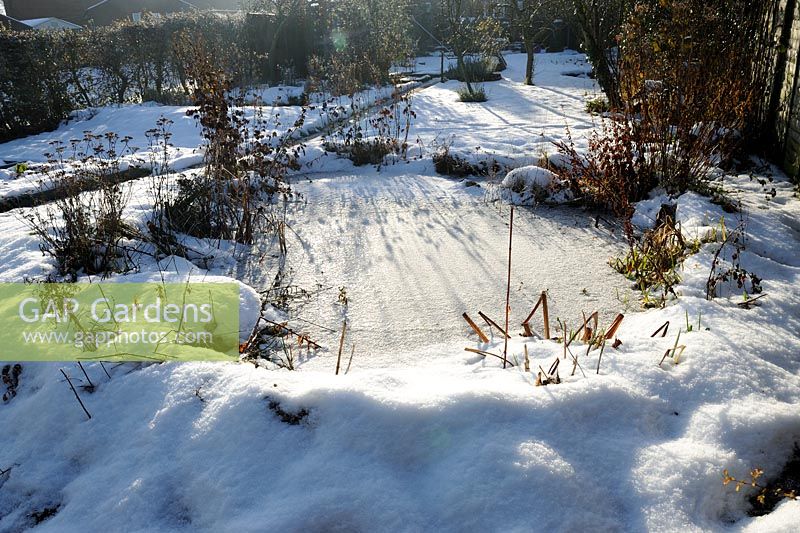 Garden pond frozen in winter sunshine with snow