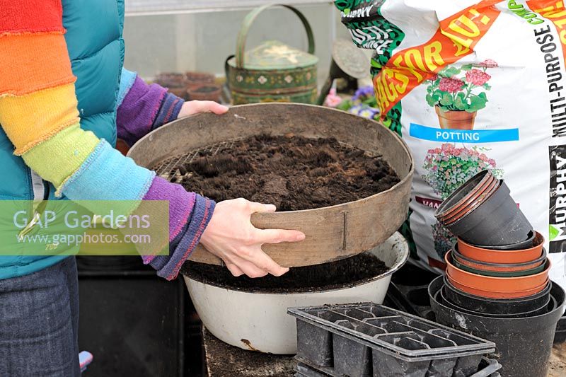 Woman sieving compost to aeriate proir to seed sowing, February