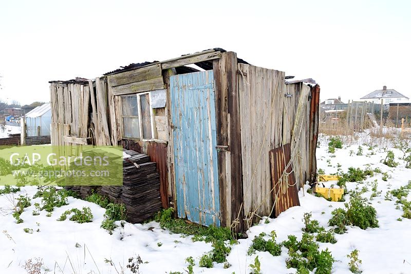 Weathered allotment shed, Norfolk