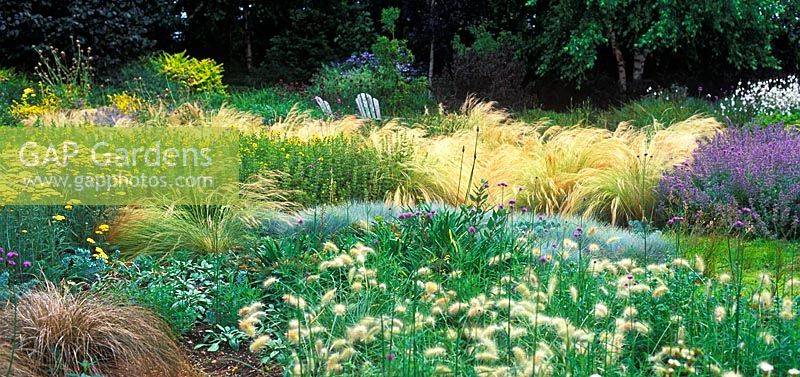 Colourful Perennial and Grasses Border. Dennis Schrader and Bill Smith's Garden, Long Island, New York, USA, July, 