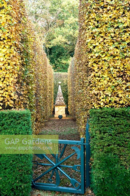 Blue gate leading to clipped Fagus and Taxus baccata hedges and stone obelisk - Silverstone Farm, Norfolk