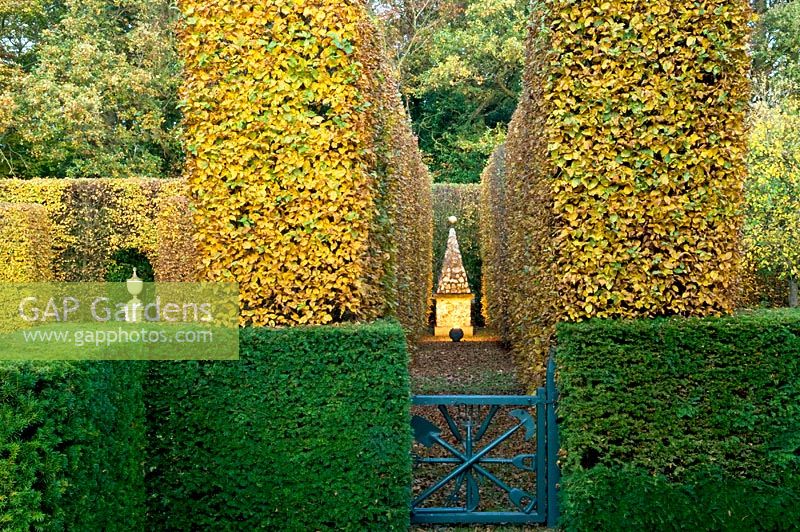 Blue gate leading to clipped Fagus and Taxus baccata hedges and stone obelisk - Silverstone Farm, Norfolk
