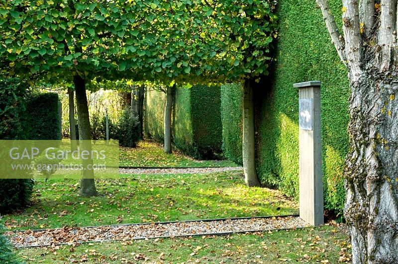 Wooden plinth focal point, clipped conifer hedge and Tilia - Lime trees -  Silverstone Farm, Norfolk, October