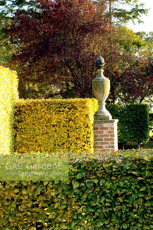 Series of Fagus - Beech hedges and urn on plinth. Silverstone Farm, Norfolk, October