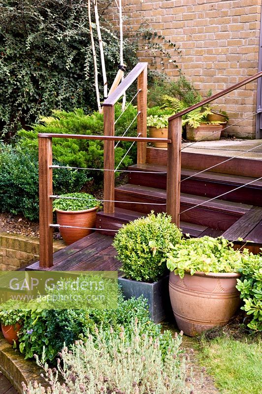 Wooden hand railing and steps with planted containers. Muswell Hill, London, 