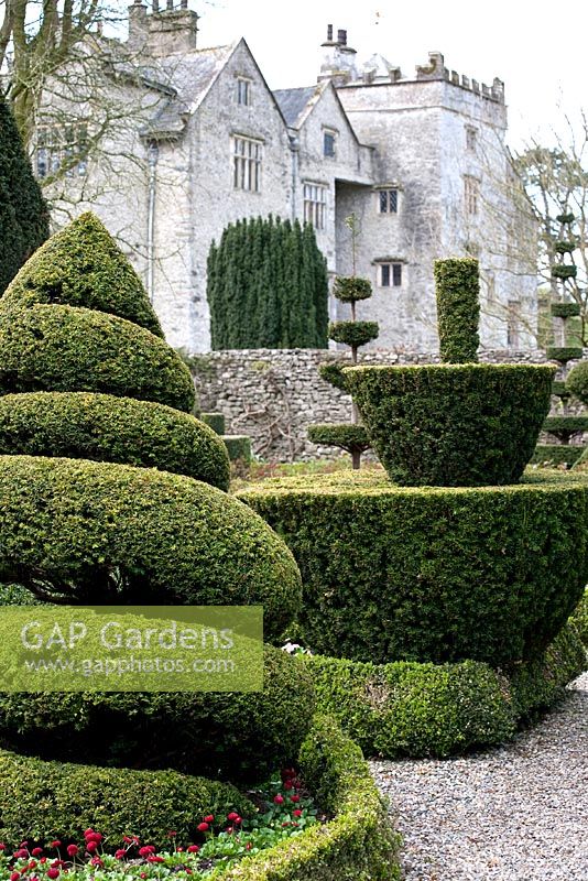 Unusual topiary shapes at Levens Hall Garden, May 

