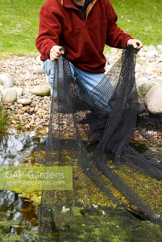 Covering a pond with netting