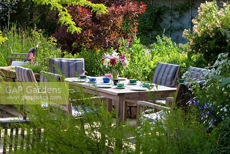 Wooden garden furniture with blue striped linen cushions in a slightly shaded area in June. Planting includes Rosa 'Ghislaine de Féligonde', Cotinus coggygria 'Royal Purple' and Tanacetum parthenium 