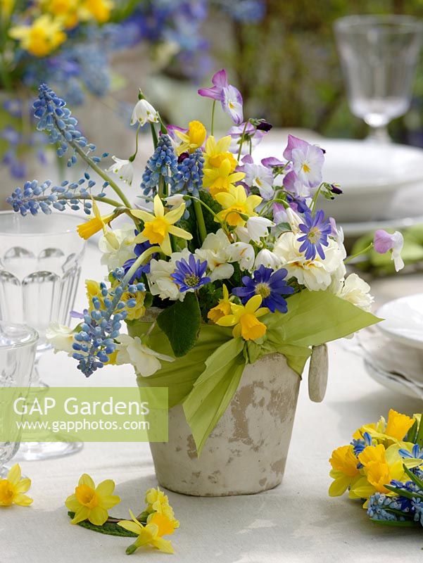 Spring table decoration with Narcissus, Muscari, Primula, Viola cornuta, Anemone blanda and Leucojum