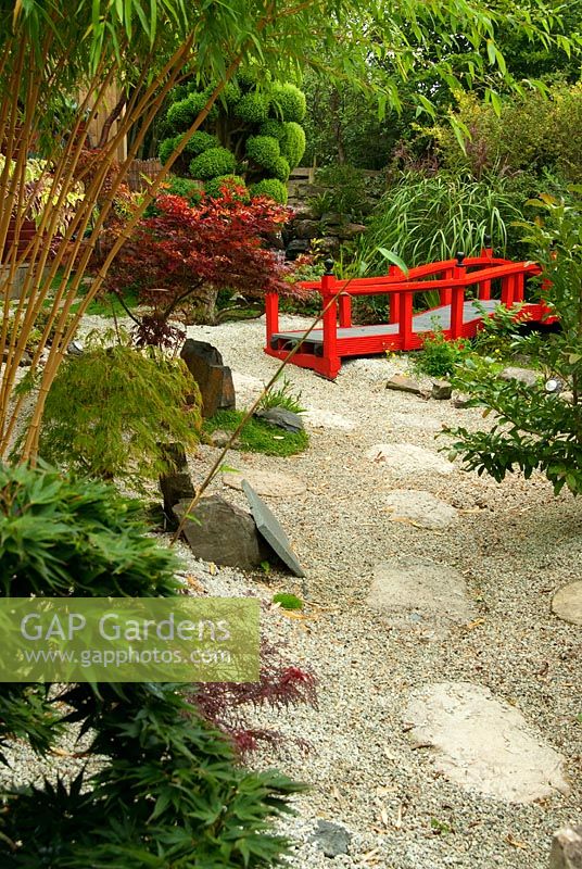 Bright red Nikko bridge in the Japanese garden with gravel mulch and trees and shrubs including cloud pruned conifer, miscanthus, acer and indigofera. The Croft, Yarnscombe, Devon, UK