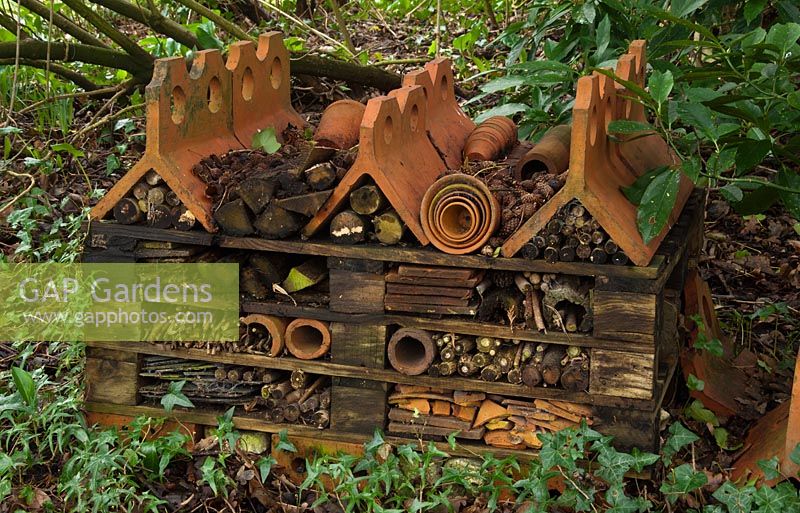 The insect hotel in the woodland garden - Pembury House Gardens, Sussex 
