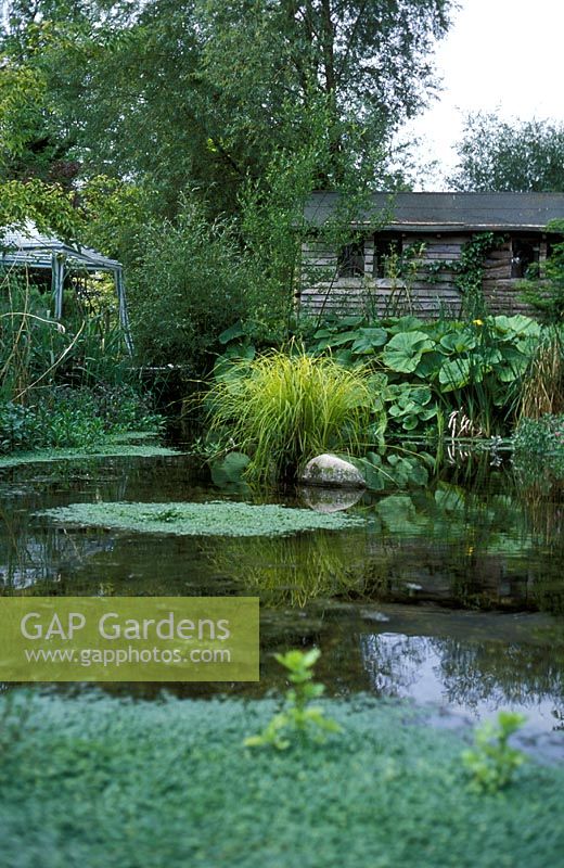 Natural Water Garden, Nine Spring's House 
