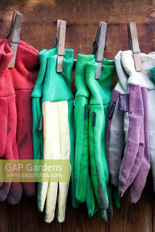 collection of gardening gloves pegged in neat lines on door of garden shed