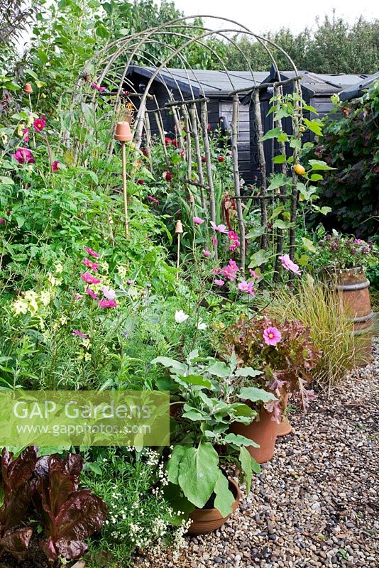 Cottage garden with flowers and vegetables, pots of Aubergine 'Ophelia', Cosmos, Lettuce 'Red Salad Bowl', Nicotiana, Swiss Chard and Squash 'Munchkin' on rustic support