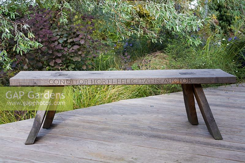 Oak bench with inscription in latin by Marnie Moyle, on raised deck behind Willow foliage, Cotinus, Stipa arundinacea
