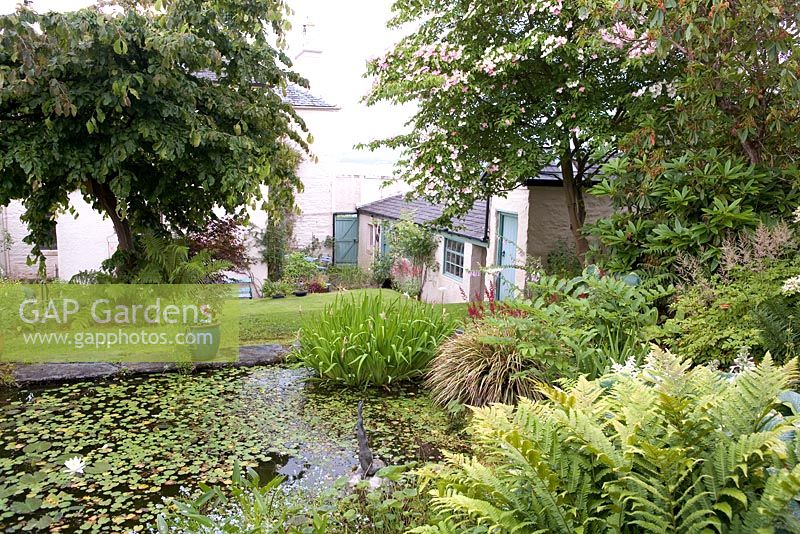 View of pond at Seafield Garden, Hunter's Quay, Dunoon, Western Scotland. June 2009 Owner - Scoular Anderson