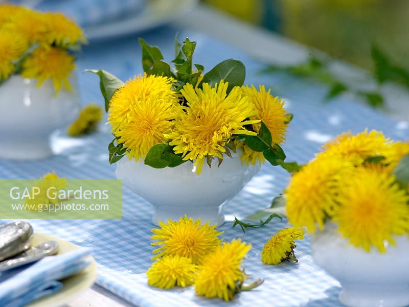 Tabletop display with dandelions
