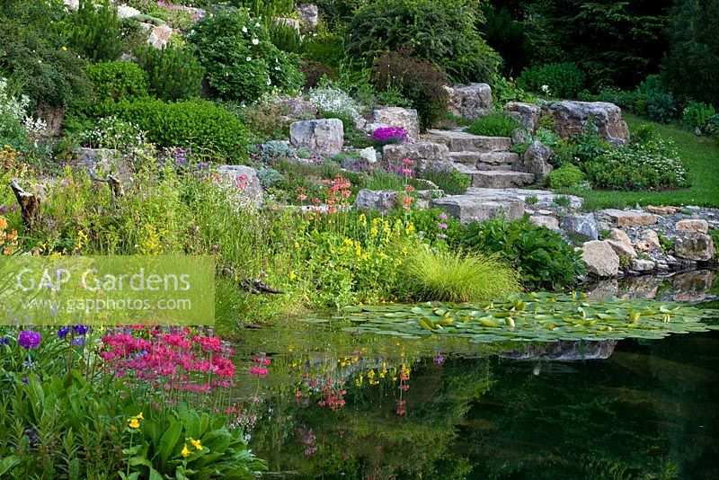 Pond and rockery with alpines and stone steps. Planting includes Arctostaphylos uva-ursi, Berberis candidula, Berberis x frikartii 'Amstelveen', Carex brizoides, Dianthus pavonius, Euphorbia dulcis 'Chamaeleon', Nymphaea, Primula beesiana and Rosa micrugosa