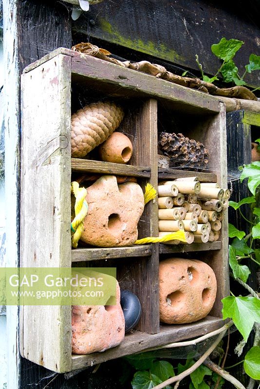 Found natural objects in wooden box - Helen Riches' Garden, Essex 
