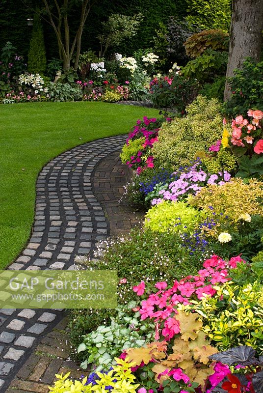 Reclaimed cobbles and bricks used to make curving path by lawn and raised border with mixed rich late summer planting including Parahebe, Begonia, Impatiens, Euonymus, Lamium, Lobelia and Heuchera. Brocklebank Road, Southport, Lancashire NGS