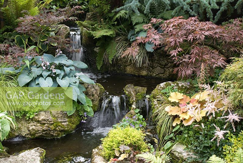 Waterfall made from reclaimed Westmorland stone with mixed planting of Acer, Hosta 'Halcyon', Astilbe, Heuchera, conifers and ferns - Brocklebank Road, Southport, Lancashire NGS
