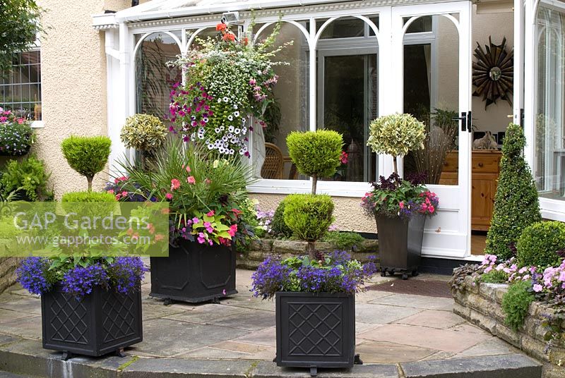 Stone slab patio with containers and hanging basket. Euonymus fortunei, Cyressus and Buxus sempervirens standard topiary, Chamaerops humilis and bedding plants outside conservatory - Brocklebank Road, Southport, Lancashire NGS
