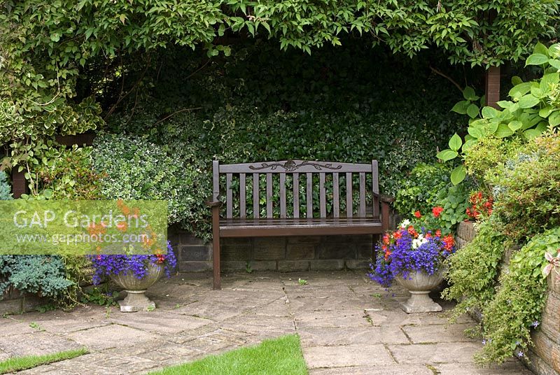 Garden arbour with wooden bench covered with Clematis and adjacent raised beds with conifers, Hedera and Euonymus - Brocklebank Road, Southport, Lancashire NGS
