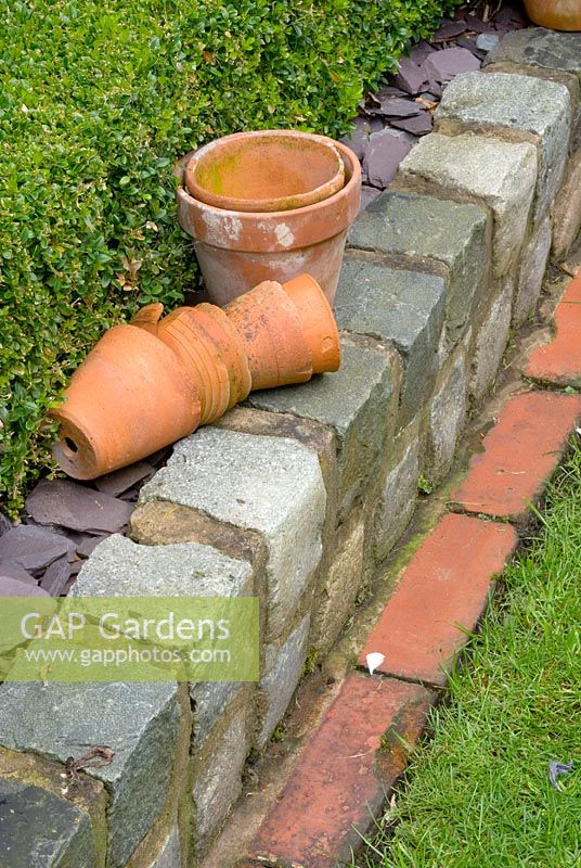 Old red bricks edging lawn and low wall made from relaimed cobbles with clay pots and Buxus hedge - Brocklebank Road, Southport, Lancashire NGS 
