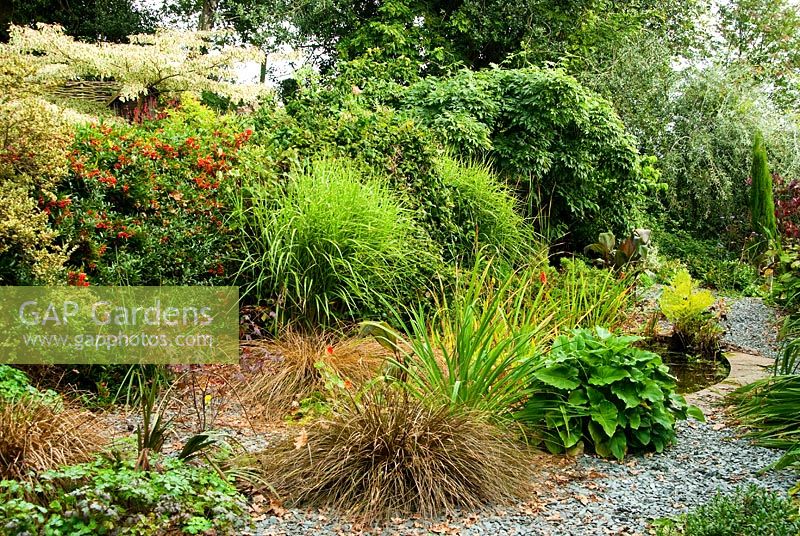 Stone edged pond with ferns and grasses - Bertie's Cottage Garden, Yeoford, Crediton, Devon