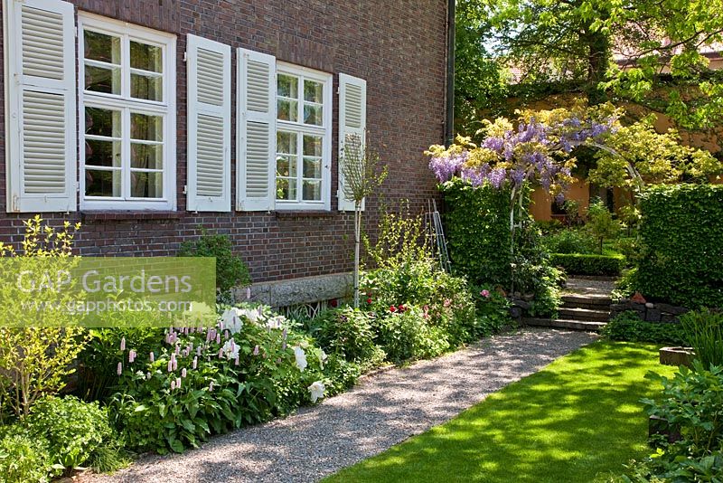 A gravel path long the manor house brick wall with white shutters, leading towards a passage through a hornbeam hedge with Wisteria arch and steps. Other planting includes Aquilegia, Buxus, Carpinus betulus, Hibiscus syriacus, Paeonia suffruticosa, Persicaria bistorta and Wisteria sinensis - The Manor House, Germany