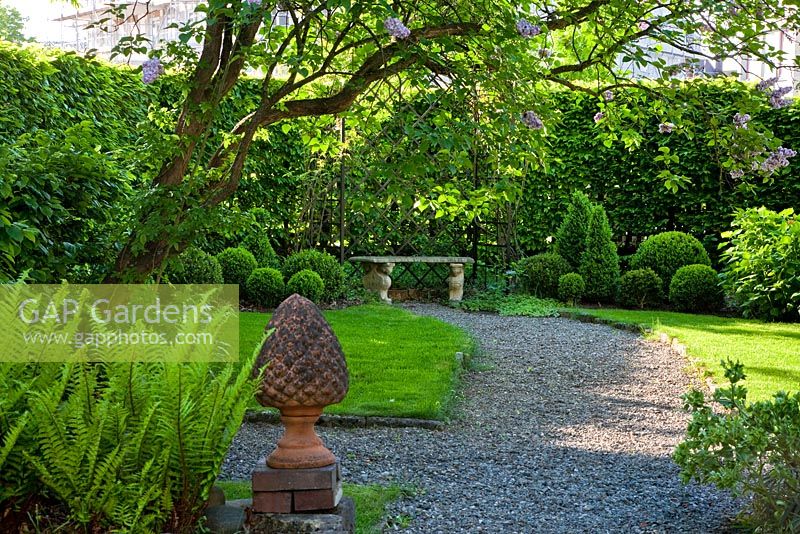 A gravel path winds towards a stone bench beneath box topiary, a terracotta cone sets an accent, other planting includes Buxus, Helleborus foetidus, Hydrangea arborescens and Syringa vulgaris - The Manor House, Germany
