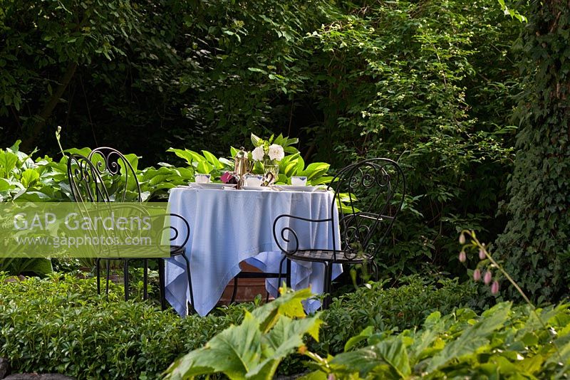 A white clothed table with iron garden chairs surrounded by planting of Hedera helix, Hosta, Lilium martagon, Pachysandra terminalis, Philadelphus and Rodgersia podophylla. The Manor House, Germany