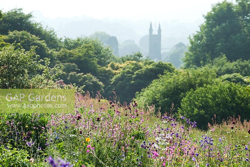View across the wild flower meadow to the church of Buckland Monachorum. The Garden House, Devon.