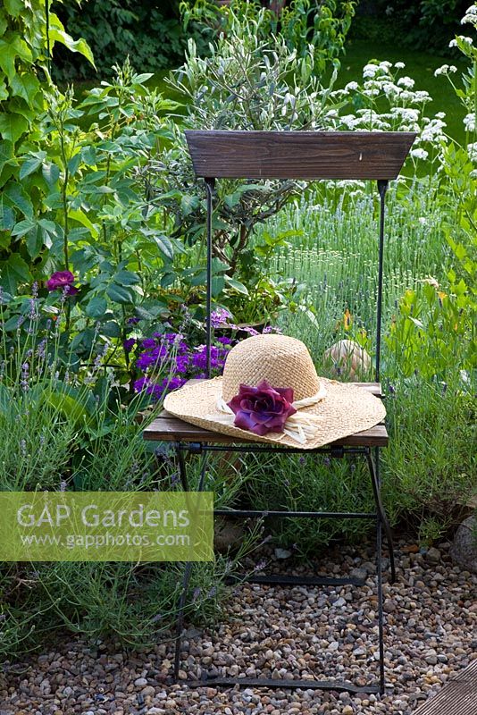Straw hat on an old garden chair, planting of Lavandula angustifolia, Olea europaea and Verbena rigida