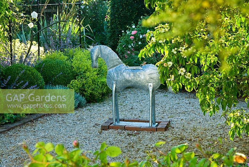 Galvanised metal horse stands on a gravel area beside pergola framed with Box spheres and covered with Rosa and Clematis, with frothy Alchemilla mollis and Nepeta 'Six Hills Giant'. Caervallack Farm, St Martin, Helston, Cornwall, UK