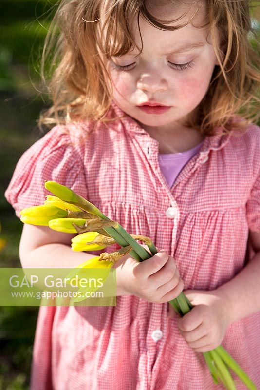 Young girl in pink dress holding bunch of Daffodils