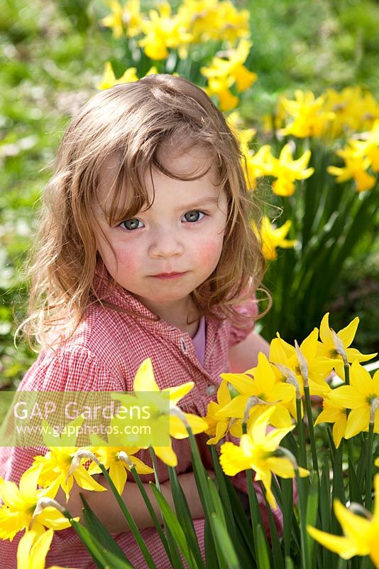 Young girl in pink dress sitting amongst Daffodils