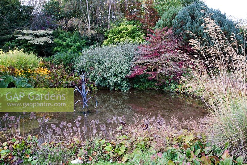 Landscaped pond with sculpture in autumn -  Lady Farm, Somerset