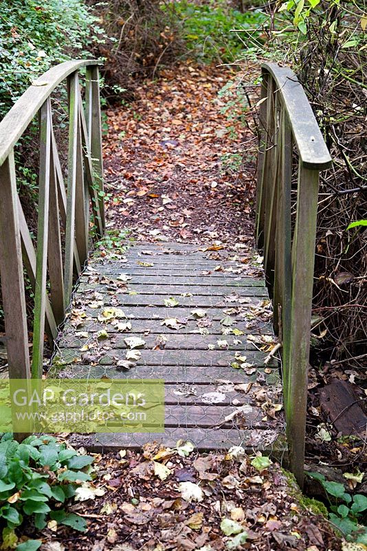 Wooden bridge feature in woodland area - Lady Farm, Somerset